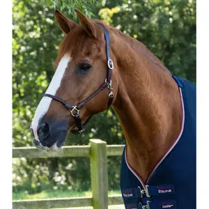 Chemise pour cheval Premier Equine Airflow Cooler image-1
