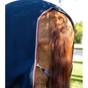 Chemise pour cheval Premier Equine Airflow Cooler image-4