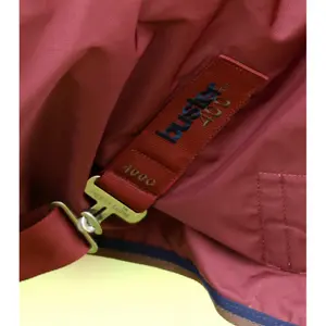 Wasserdichte Outdoor-Decke mit Halsteil Premier Equine Buster 400 g image-3