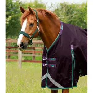 product/p/r/premier-equine_219850p_2.jpg