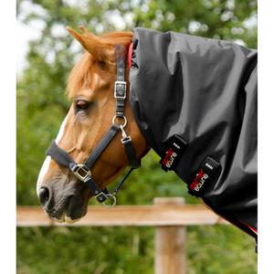 Wasserdichte Outdoor-Decke mit Halsteil Premier Equine Buster 100 g image-1