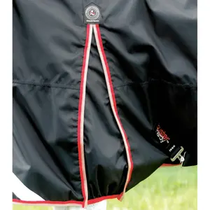 Wasserdichte Outdoor-Decke Premier Equine Buster Hardy 100 g image-3