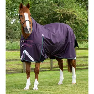 Εξωτερική κουβέρτα για άλογο με μισό λαιμό Premier Equine Buster Hardy 100 g image-0