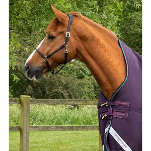 Εξωτερική κουβέρτα για άλογο με μισό λαιμό Premier Equine Buster Hardy 100 g image-1