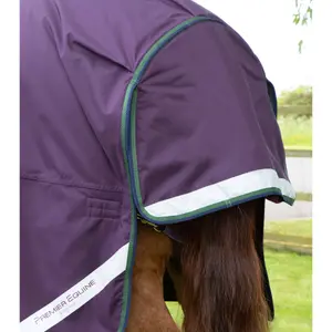 Εξωτερική κουβέρτα για άλογο με μισό λαιμό Premier Equine Buster Hardy 100 g image-4