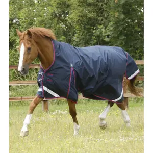 Waterproof outdoor horse blanket Premier Equine Buster Hardy 0 g
