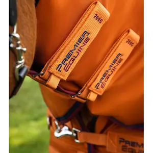 Wasserdichte Outdoor-Decke mit Halsteil Premier Equine Buster Combo 200g image-2