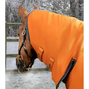 Waterdichte paardendeken met halsbedekking Premier Equine Buster Combo 400g image-1