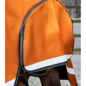 Waterdichte paardendeken met halsbedekking Premier Equine Buster Combo 400g image-4