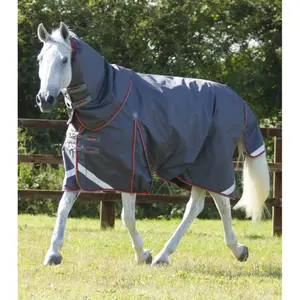 Manta impermeable para caballos con cubrecuello Premier Equine Buster 50 g image-0