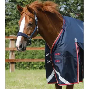 Manta impermeable para caballos con cubrecuello Premier Equine Buster 50 g image-1