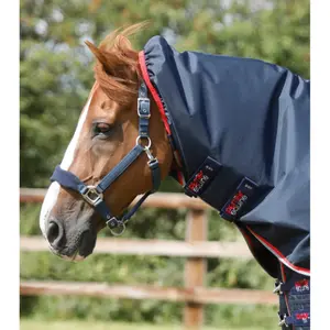 Manta impermeable para caballos con cubrecuello Premier Equine Buster 50 g image-2