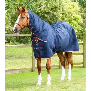 Drying blanket with neck cover Premier Equine Dry-Tech