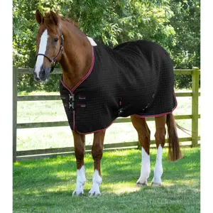 Drying blanket for horses Premier Equine Dry-Tech