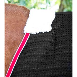 Drying blanket for horses Premier Equine Dry-Tech image-3