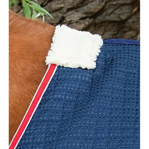 Horse walker blanket Premier Equine Walker 0 g image-1