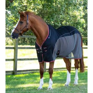 product/p/r/premier-equine_222650b_0.jpg