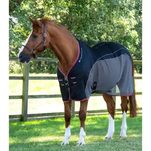 Drying shirt for horses Premier Equine Sports image-0