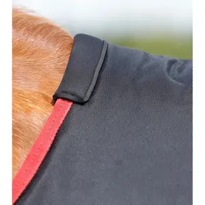 Outdoor horse blanket Premier Equine Turnout Rug 450 g image-3