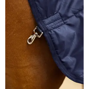 Undercover Premier Equine 100g image-4