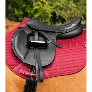 product/p/r/premier-equine_3027brg_2.jpg