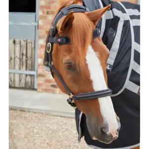 Fascia magnetica per cavalli Premier Equine Magni-Teque image-1