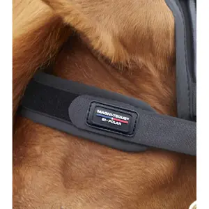 Fascia magnetica per cavalli Premier Equine Magni-Teque image-3