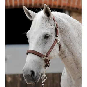 Halter for plain horse Premier Equine image-0