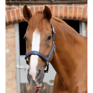 Cabresto de cavalo liso Premier Equine image-0