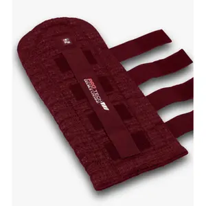 Quilted Tail Guard with double lock Premier Equine image-1