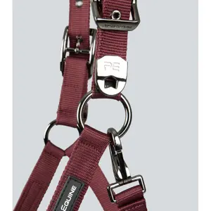 Licol nylon pour cheval Premier Equine Corda image-4