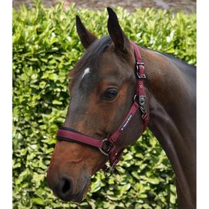 product/p/r/premier-equine_6150cbrg_burgundy_6.jpg