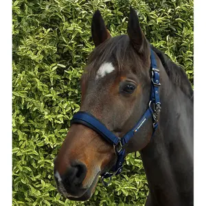 Licol nylon pour cheval Premier Equine Corda image-1