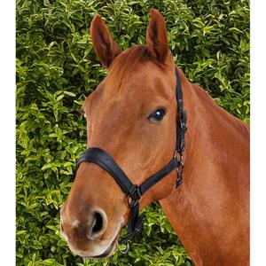 Nylon halter for horse Premier Equine Duco image-2