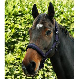 Nylon halter for horse Premier Equine Duco image-2