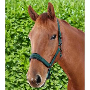 Nylon halter for horse Premier Equine Duco image-2