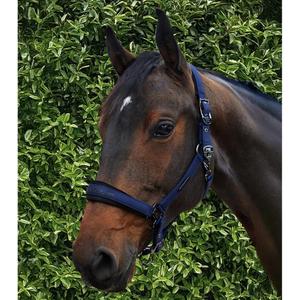 Nylon halter for horse Premier Equine Duco image-2