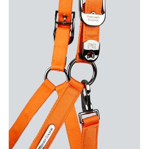 Nylon halter for horse Premier Equine Duco image-5