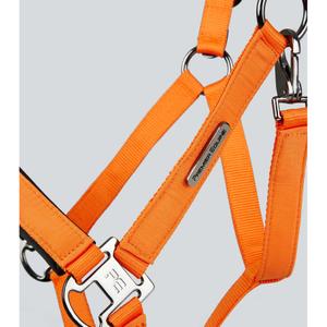 Nylon halter for horse Premier Equine Duco image-4