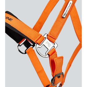 Nylon halter for horse Premier Equine Duco image-3