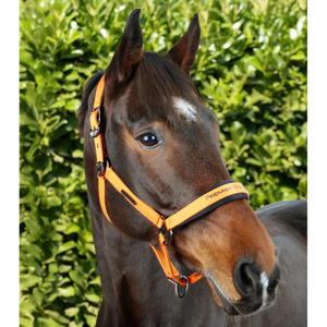 Nylon halter for horse Premier Equine Duco image-2