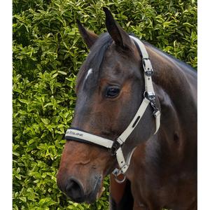 Nylon halter for horse Premier Equine Duco image-2