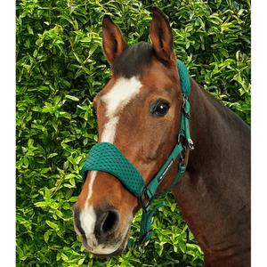 product/p/r/premier-equine_6152cgrn_green_6.jpg