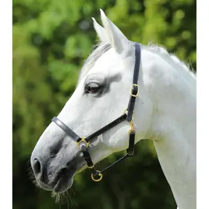 Leren halster voor paarden Premier Equine image-1