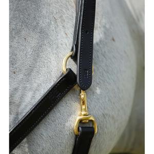 product/p/r/premier-equine_8000cblk_black_3.jpg