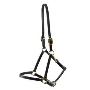 Leren halster voor paarden Premier Equine image-0
