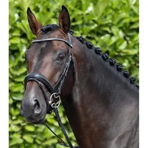 8013-c-8013-xf-anatomisch-geformte-trense-mit-kombiniertem-reithalfter-premier-equine-stellazzio-schwarz