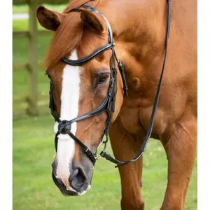 8016-p-8016-xf-trans-med-snara-premier-equine-glorioso-svart