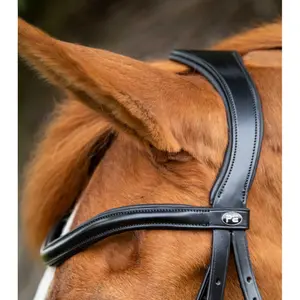product/p/r/premier-equine_8016-pblk_2.jpg