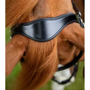 product/p/r/premier-equine_8016-pblk_4.jpg